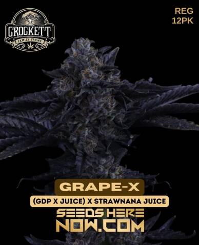 Grape(space)X (Regular) (space) Crockett Family Farms