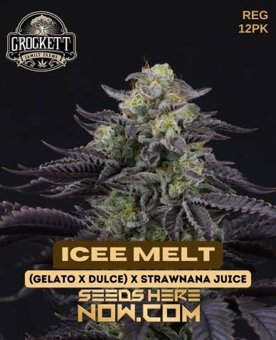 Icee Melt (Regular) (space) Crockett Family Farms