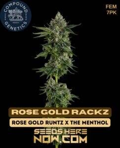 Rose Gold Rackz (Feminized) (space) Compound Genetics