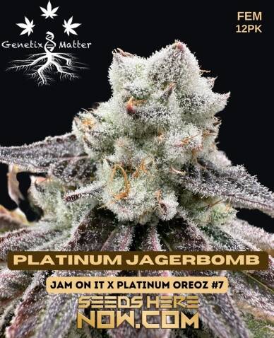 Platinum Jagerbombs (Feminized) (space) Genetix Matter