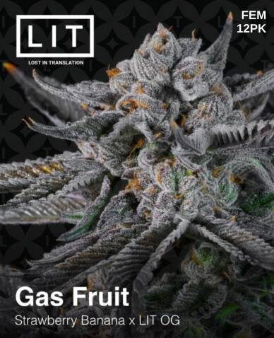 Gas Fruit (Feminized) (space) LIT Farms