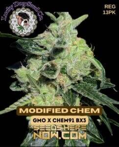 Modified Chem (Regular) (space) Lucky Dog Seed Company