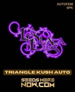 Triangle Kush Auto (Autoflower) (space) La Plata Labs