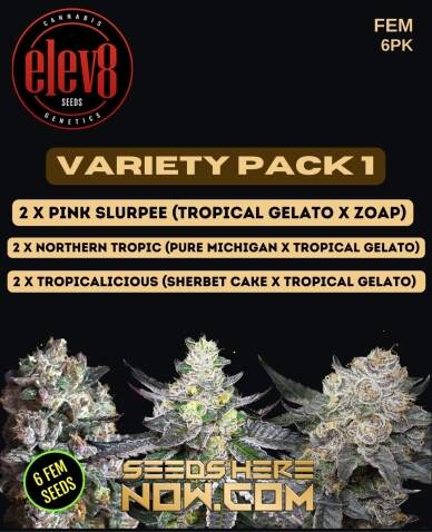 Variety Pack 1 (Feminized) (space) Elev8 Seeds