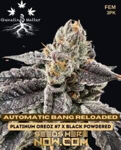 Automatic Bang Reloaded (Feminized) (space) Genetix Matter