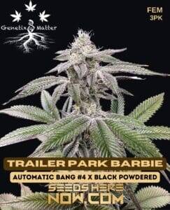 Trailer Park Barbie (Feminized) (space) Genetix Matter