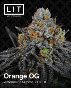 Orange OG (Feminized) (space) LIT Farms