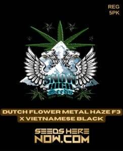 Dutch Flower Metal Haze F3x Vietnamese Black (Regular) (space) Snow High Seeds