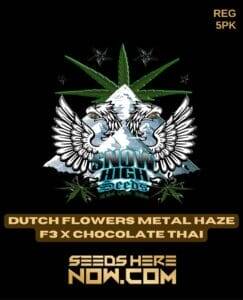 Dutch Flowers Metal Haze F3x Chocolate Thai (Regular) (space) Snow High Seeds
