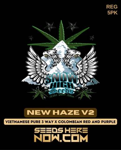 New Haze v2 (Regular) (space) Snow High Seeds