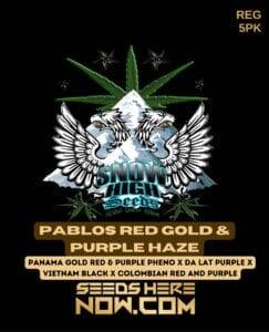 Pablos Red Gold & Purple Haze (Regular) (space) Snow High Seeds