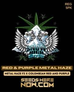 Red & Purple Metal Haze (Regular) (space) Snow High Seeds