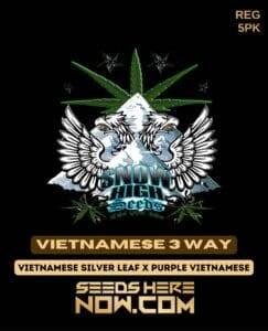 Vietnamese 3 Way (Regular) (space) Snow High Seeds