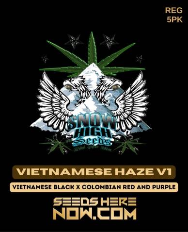 New Haze v1 (Regular) (space) Snow High Seeds