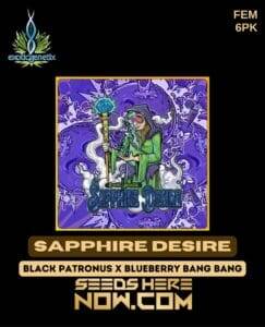 Sapphire Desire (Feminized) (space) Exotic Genetix