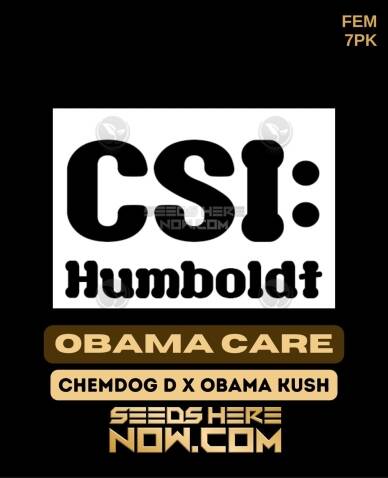 Obama Care (Feminized) (space) CSI Humboldt