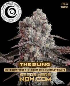 The Bling (Regular) (space) Happy Dreams Genetics