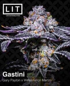 Gastini (Feminized) (space) LIT Farms