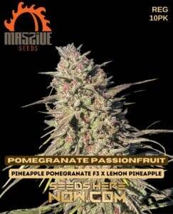 Pomegranate Passionfruit (Regular) (space) Massive Seeds