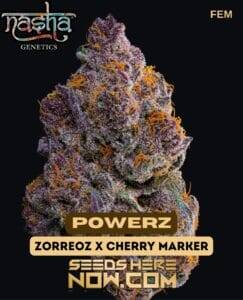 Powerz (Feminized) (space) Nasha Genetics