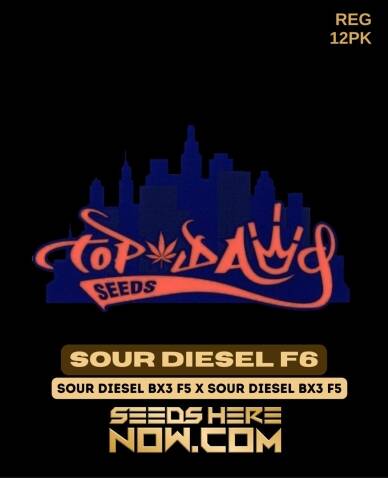 Sour Diesel F6 (Regular) (space) Top Dawg Seeds