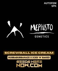 Screwball Ice Cream (Autoflower) (space) Mephisto Genetics