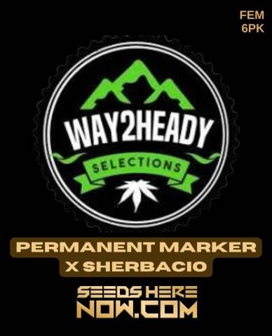 Permanent Marker x Sherbacio (Feminized) (space) Way2heady Selections