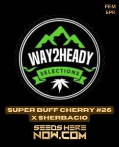 Super Buff Cherry #26 x Sherbacio (Feminized) (space) Way2heady Selections