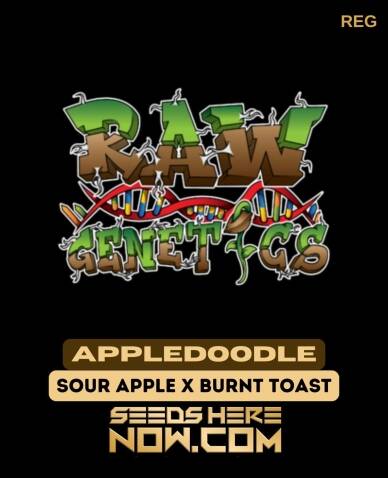 Appledoodle (Regular) (space) Raw Genetics