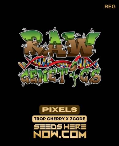 Pixels (Regular) (space) Raw Genetics