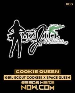 Cookie Queen (Regular) (space) Mz Jill Genetics