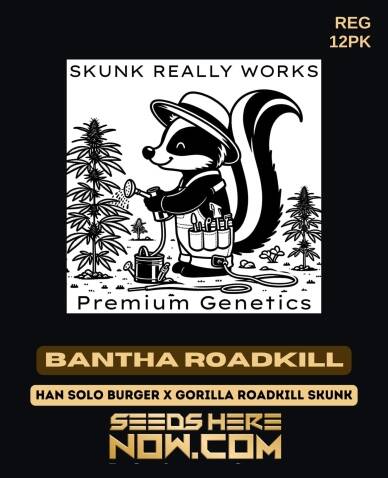 Bantha Roadkill (Regular) (space) Skunk Really Works