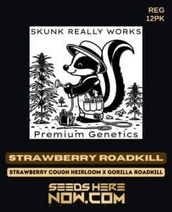 Strawberry Roadkill (Regular) (space) Skunk Really Works