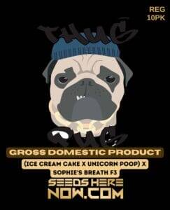Gross Domestic Product (Regular) (space) Thug Pug Genetics