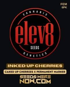 Inked Up Cherries (Feminized) (space) Elev8 Seeds
