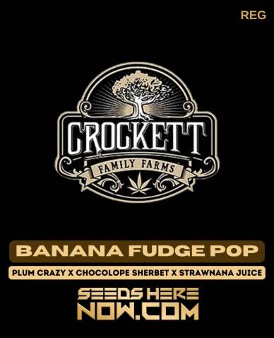 Banana Fudge Pop (Regular) (space) Crockett Family Farms