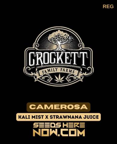 Camerosa (Regular) (space) Crockett Family Farms