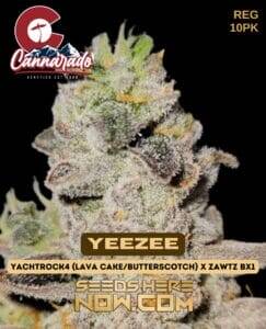 Cannarado Genetics (space) YeeZee {REG} [10pk]