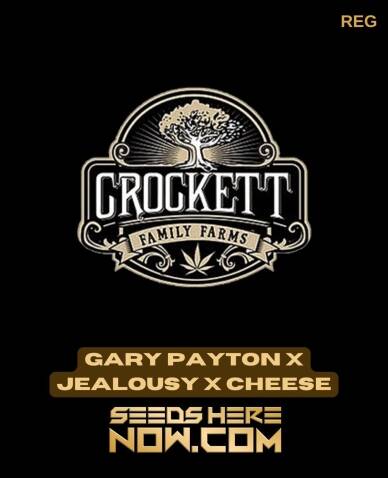 Gary Payton x Jealousy x Cheese (Regular) (space) Crockett Family Farms