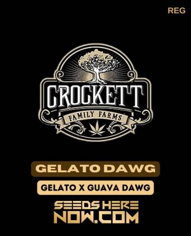 Gelato Dawg (Regular) (space) Crockett Family Farms