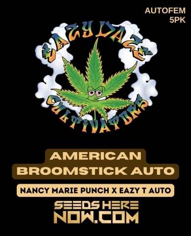 American Broomstick Auto (Autoflower) (space) Eazy Daze Cultivators