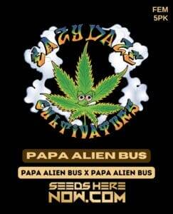 Papa Alien Bus (Feminized) (space) Eazy Daze Cultivators