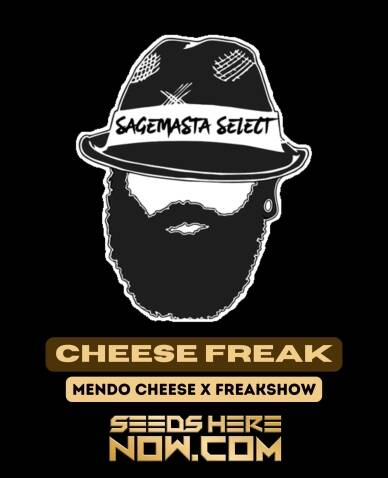 Cheese Freak