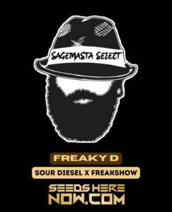 Freaky D (Regular) (space) S.A.G.E.masta Select