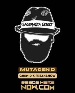 Mutagen D (Regular) (space) S.A.G.E.masta Select