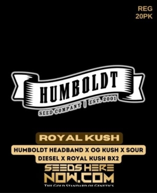 Royal Kush (Regular) (space) Humboldt Seed Company