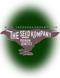 The(space)seed(space)kompany(space)logo