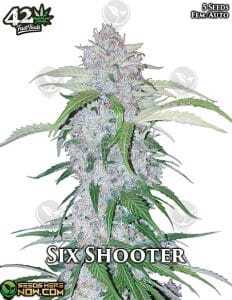 Six Shooter Auto (Autoflower) (space) Fast Buds