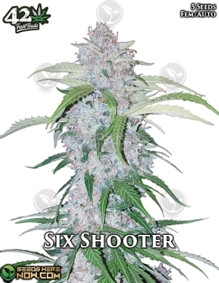 Six Shooter Auto (Autoflower) (space) Fast Buds