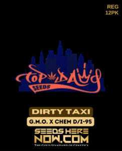 Dirty Taxi (Regular) (space) Top Dawg Seeds